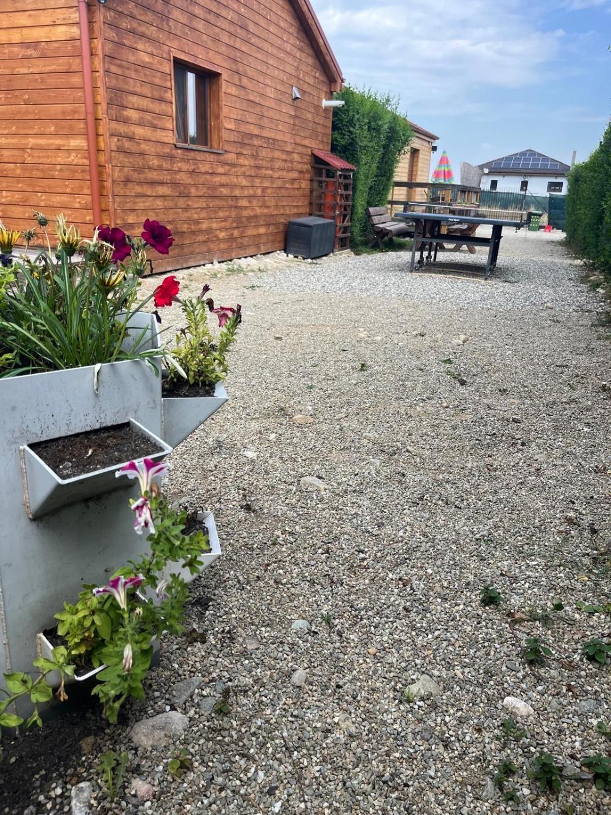 Casute La Munte Rasnov Exterior foto